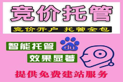竞价推广SEM托管实战案例分析